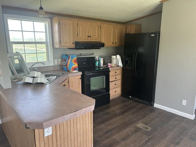 6078 Ringler Road Pellston MI 49769