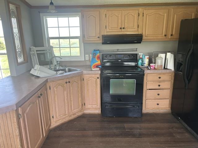 6078 Ringler Road Pellston MI 49769
