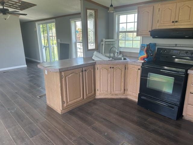 6078 Ringler Road Pellston MI 49769