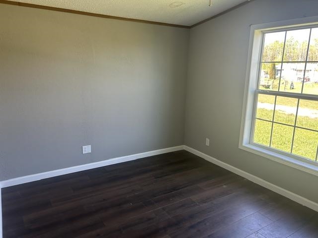 6078 Ringler Road Pellston MI 49769