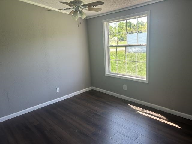 6078 Ringler Road Pellston MI 49769