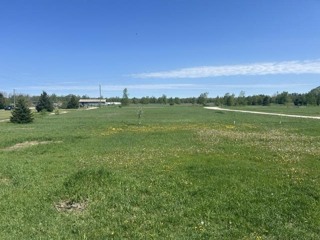 6078 Ringler Road Pellston MI 49769