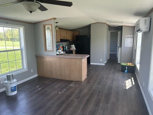 6078 Ringler Road Pellston MI 49769