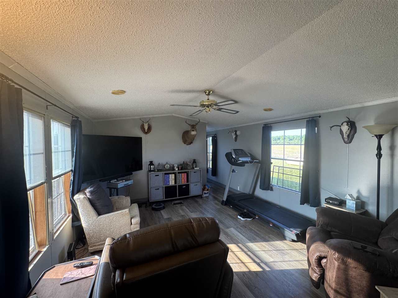 6722 Canby Road Levering MI 49755