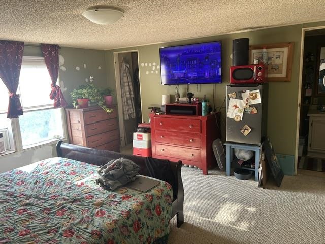 312 Zipf Street Pellston MI 49769