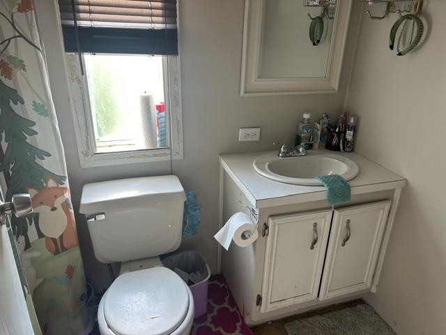 312 Zipf Street Pellston MI 49769