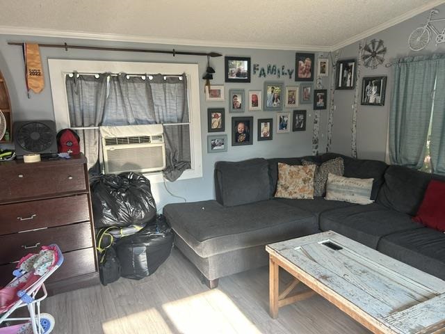 312 Zipf Street Pellston MI 49769