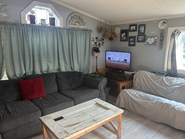 312 Zipf Street Pellston MI 49769