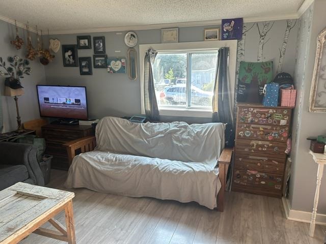 312 Zipf Street Pellston MI 49769