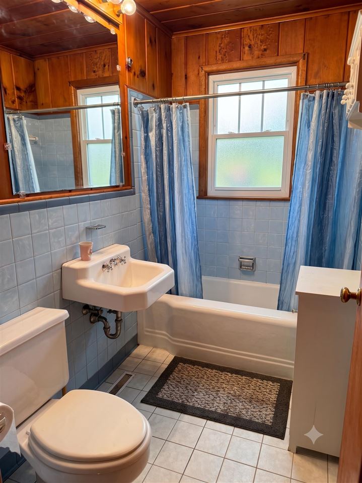 15785 & 15787 Paradise Lake Road Carp Lake MI 49718