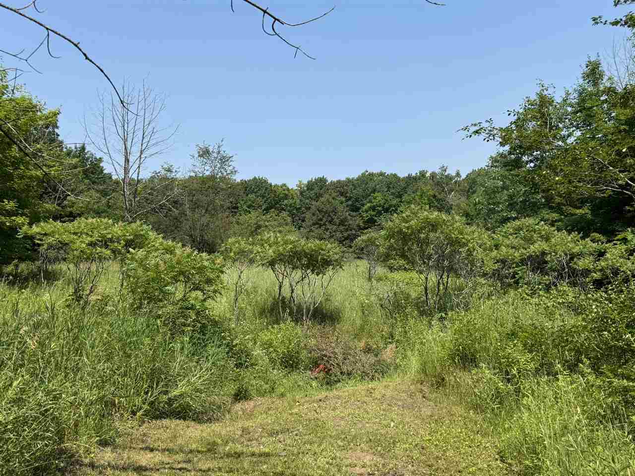 15785 & 15787 Paradise Lake Road Carp Lake MI 49718