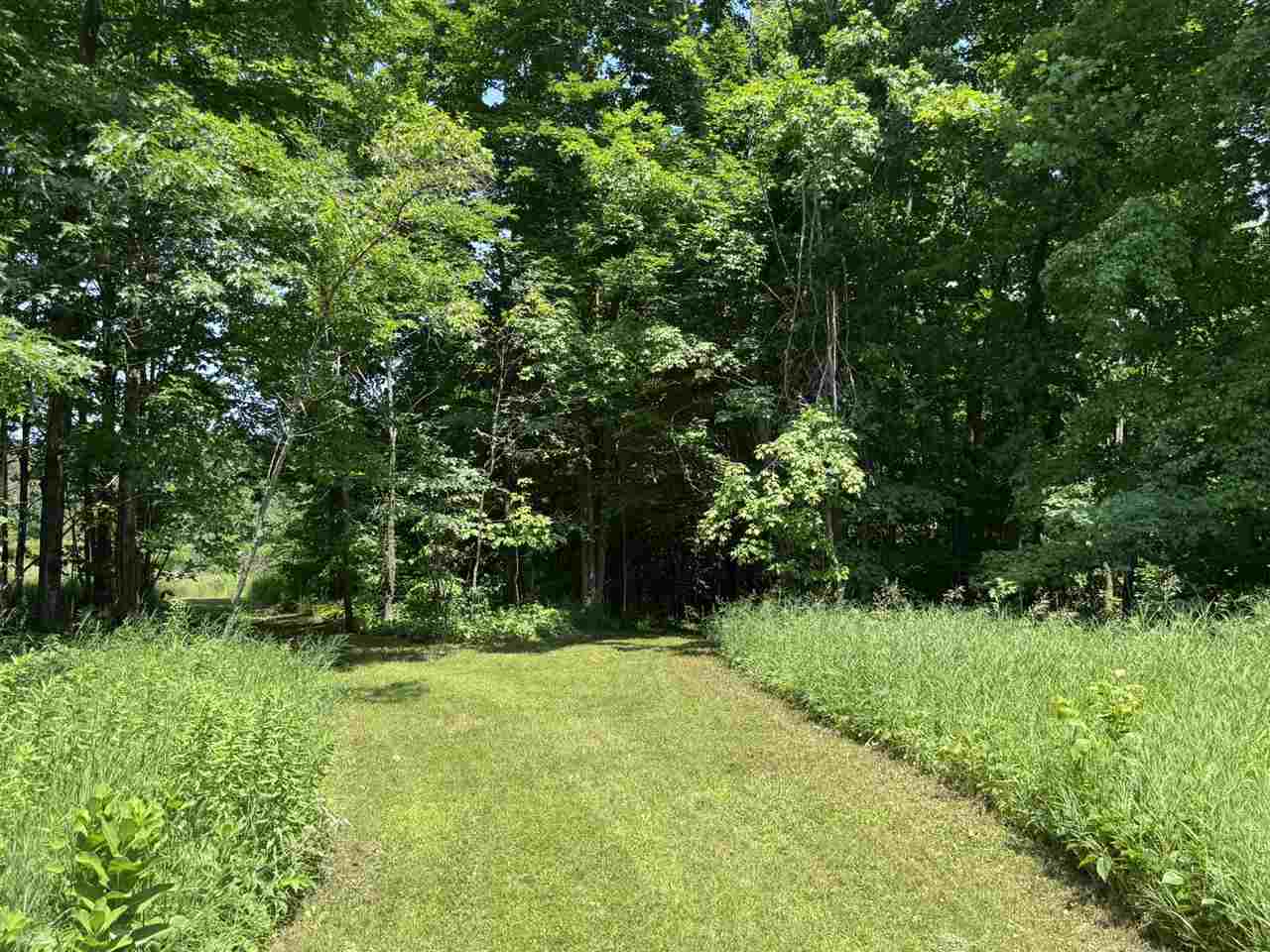 15785 & 15787 Paradise Lake Road Carp Lake MI 49718