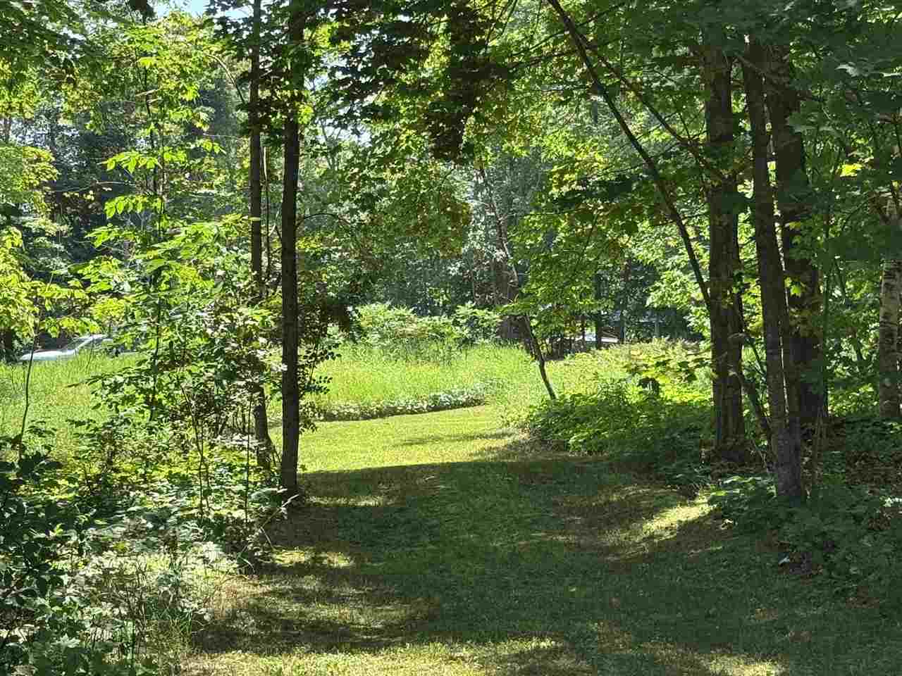 15785 & 15787 Paradise Lake Road Carp Lake MI 49718