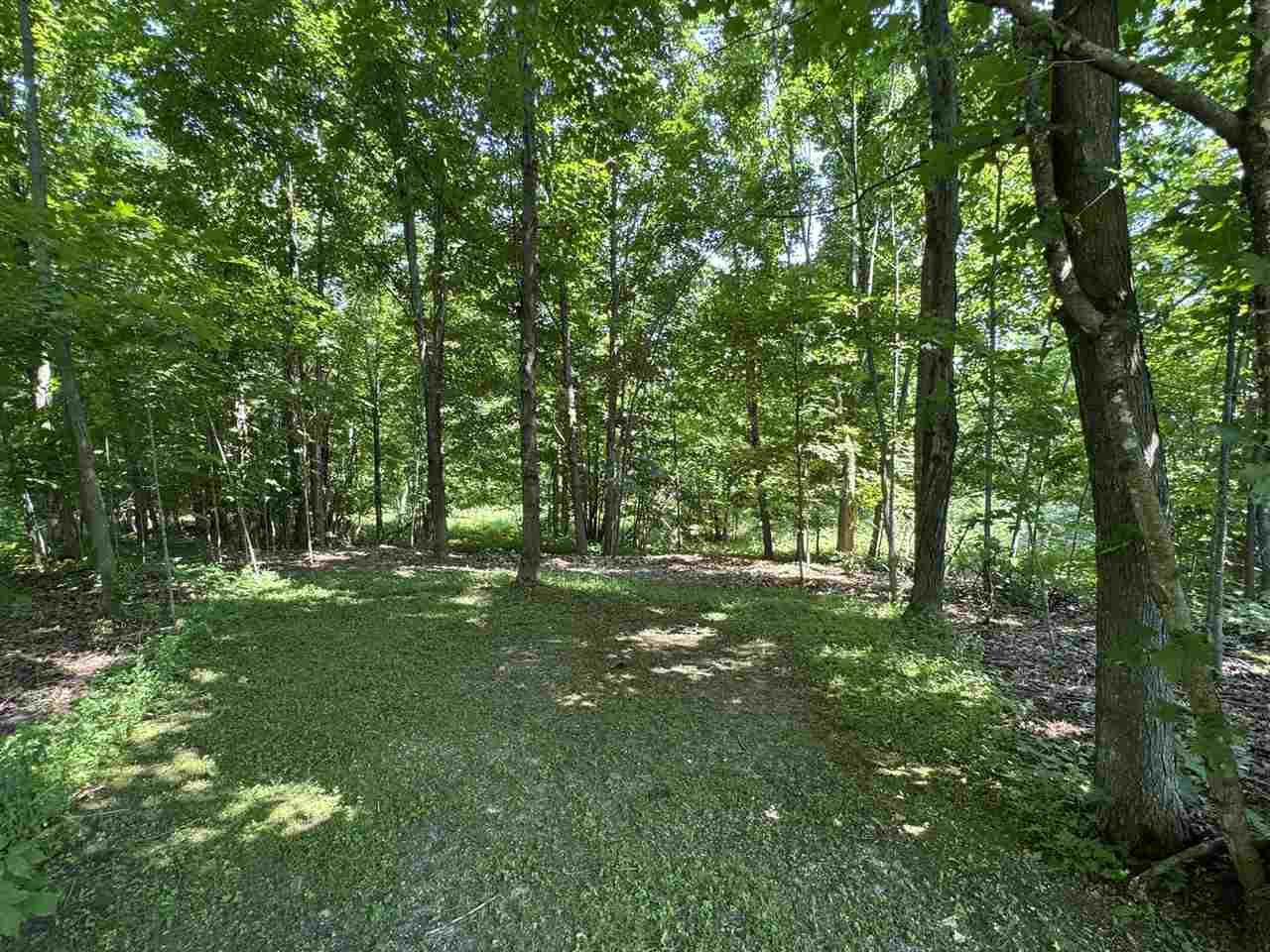 15785 & 15787 Paradise Lake Road Carp Lake MI 49718