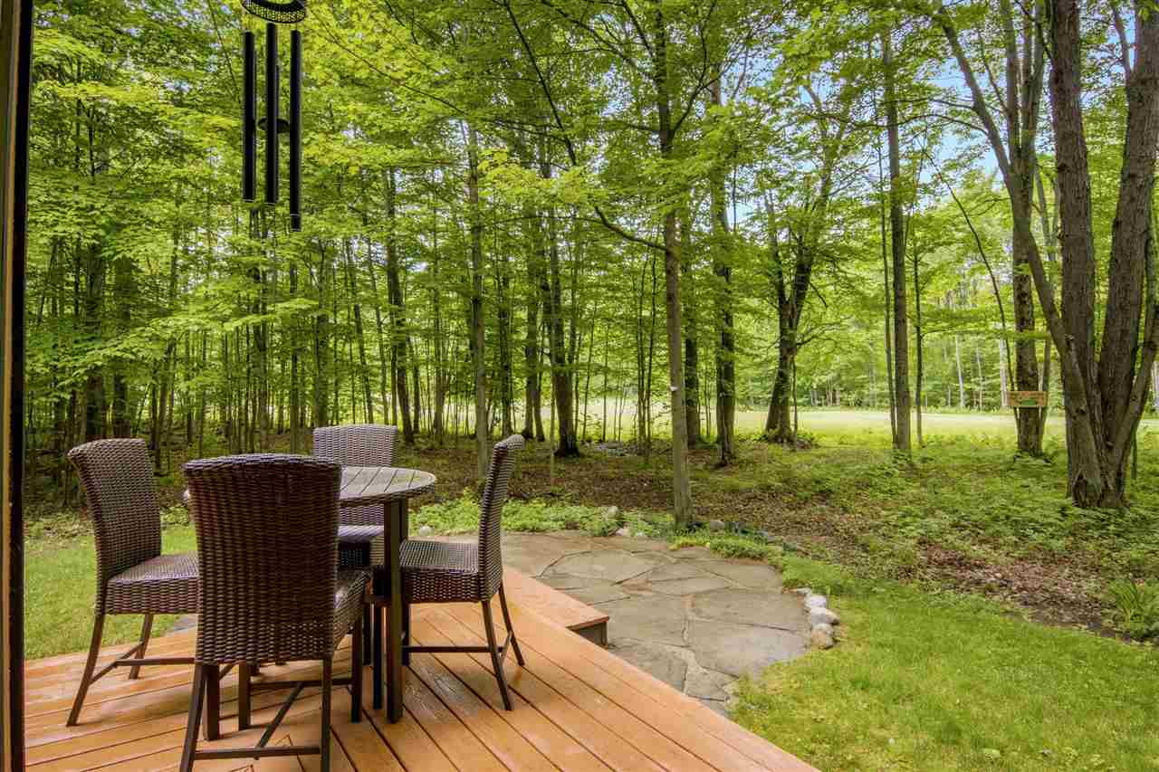 2176 W Schuss Mountain Drive Bellaire MI 49615