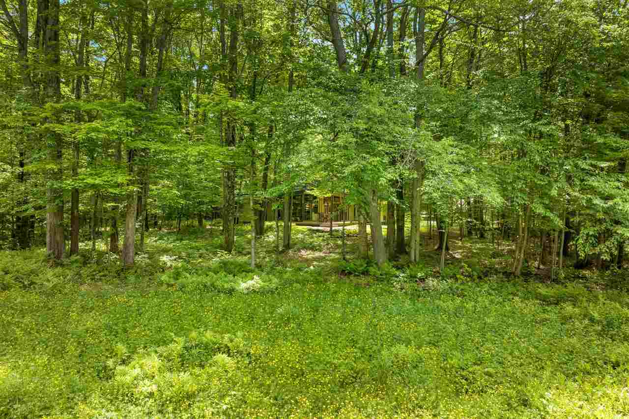 2176 W Schuss Mountain Drive Bellaire MI 49615
