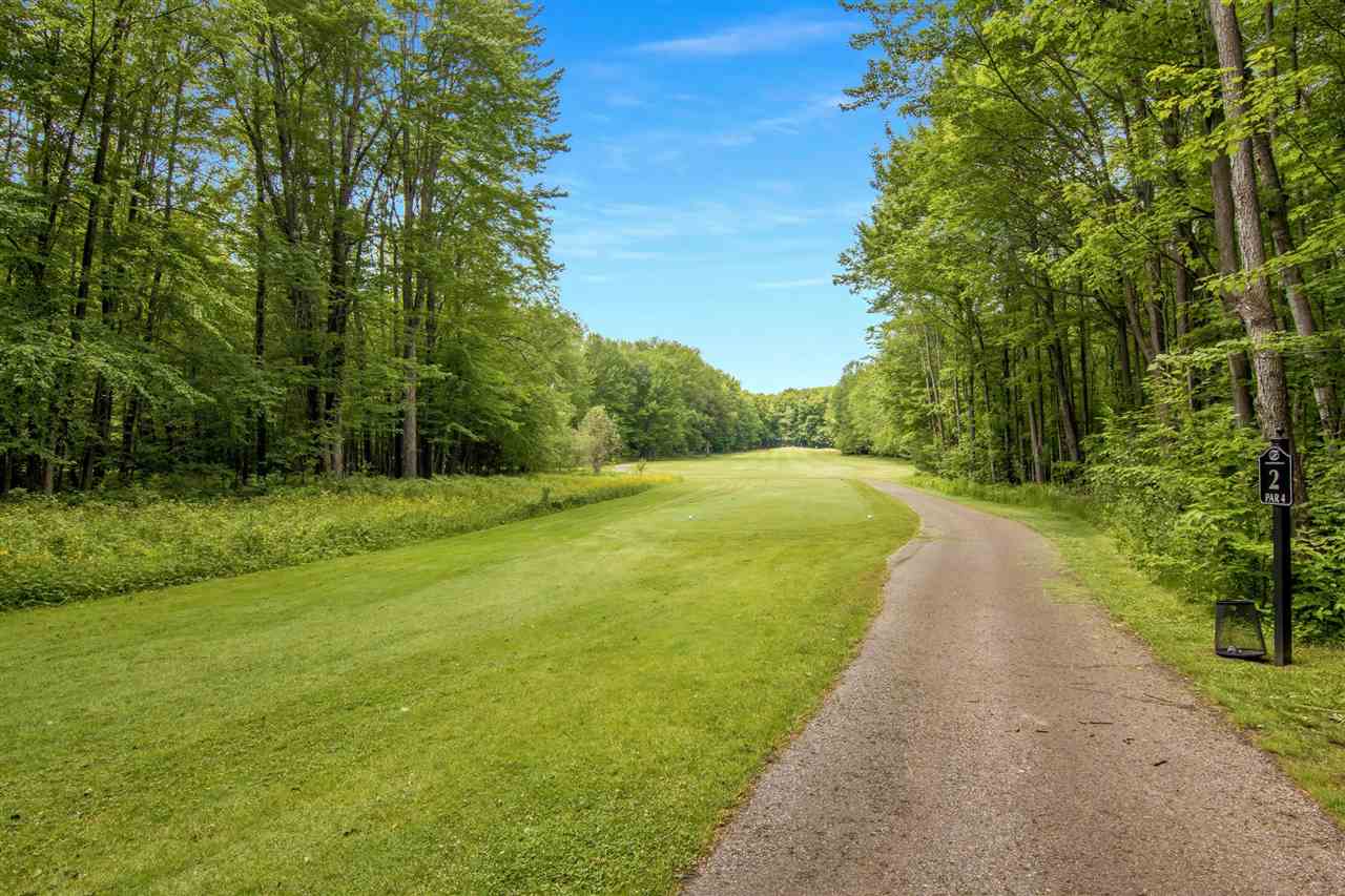 2176 W Schuss Mountain Drive Bellaire MI 49615