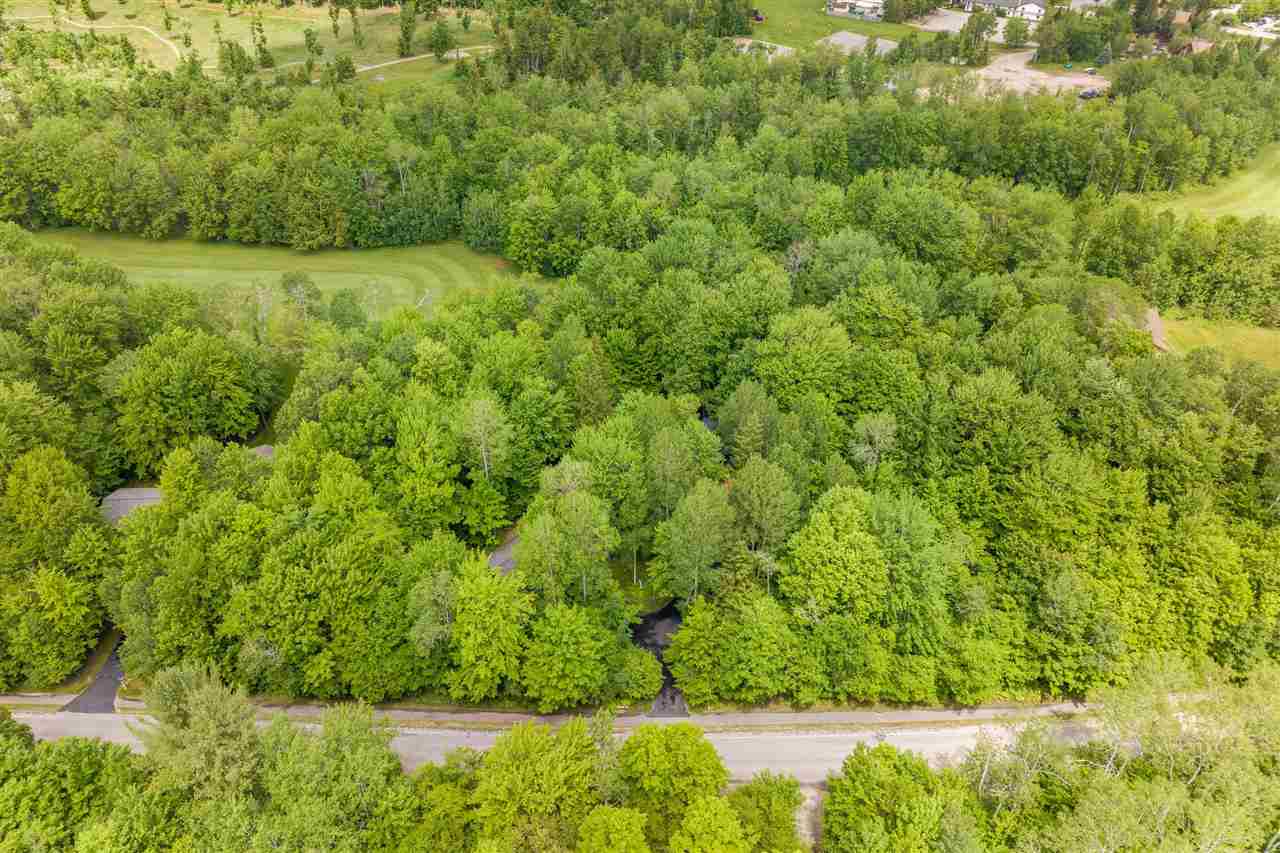 2176 W Schuss Mountain Drive Bellaire MI 49615