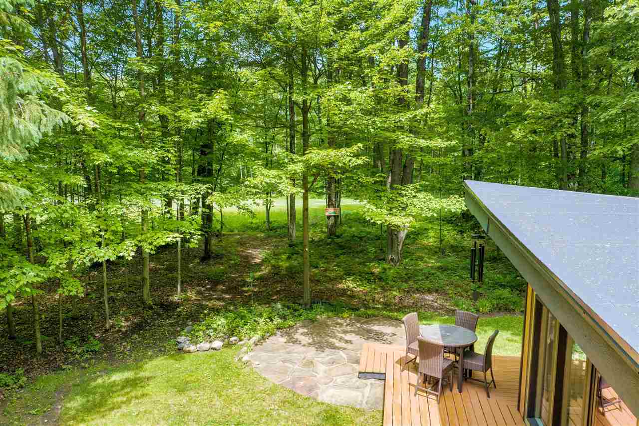2176 W Schuss Mountain Drive Bellaire MI 49615