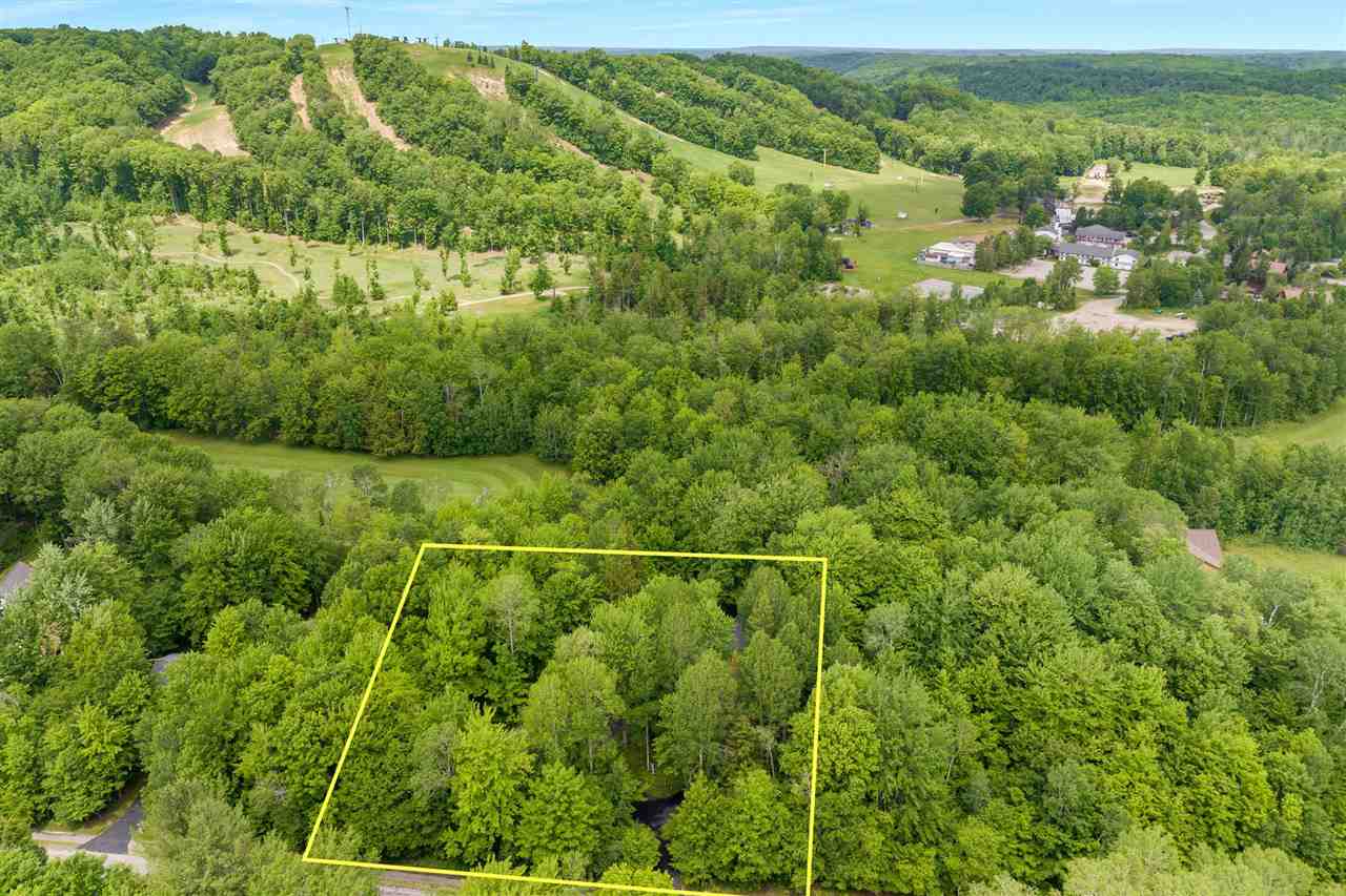 2176 W Schuss Mountain Drive Bellaire MI 49615