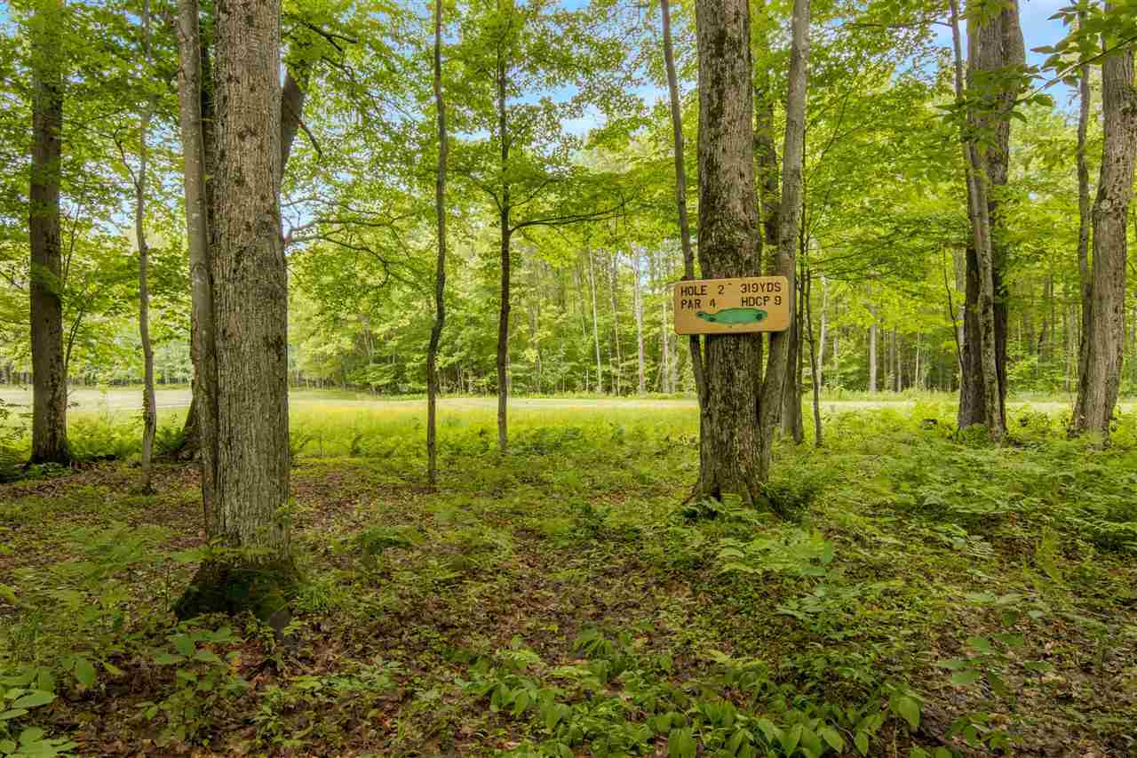 2176 W Schuss Mountain Drive Bellaire MI 49615
