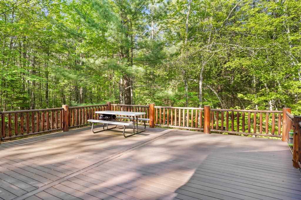 3655 Big Sky Trail Indian River MI 49749