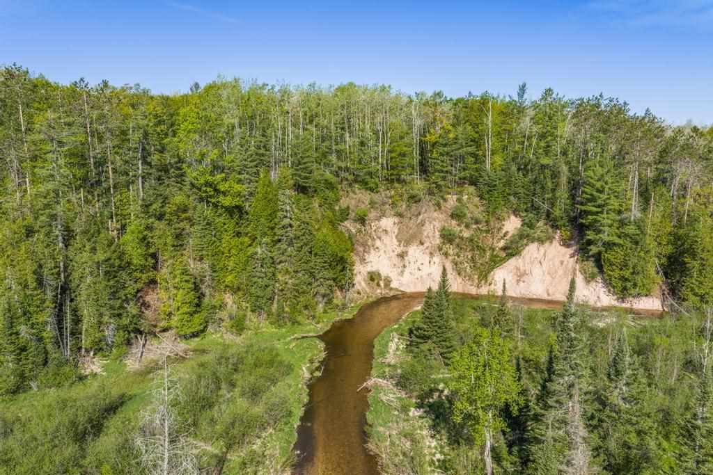 3655 Big Sky Trail Indian River MI 49749
