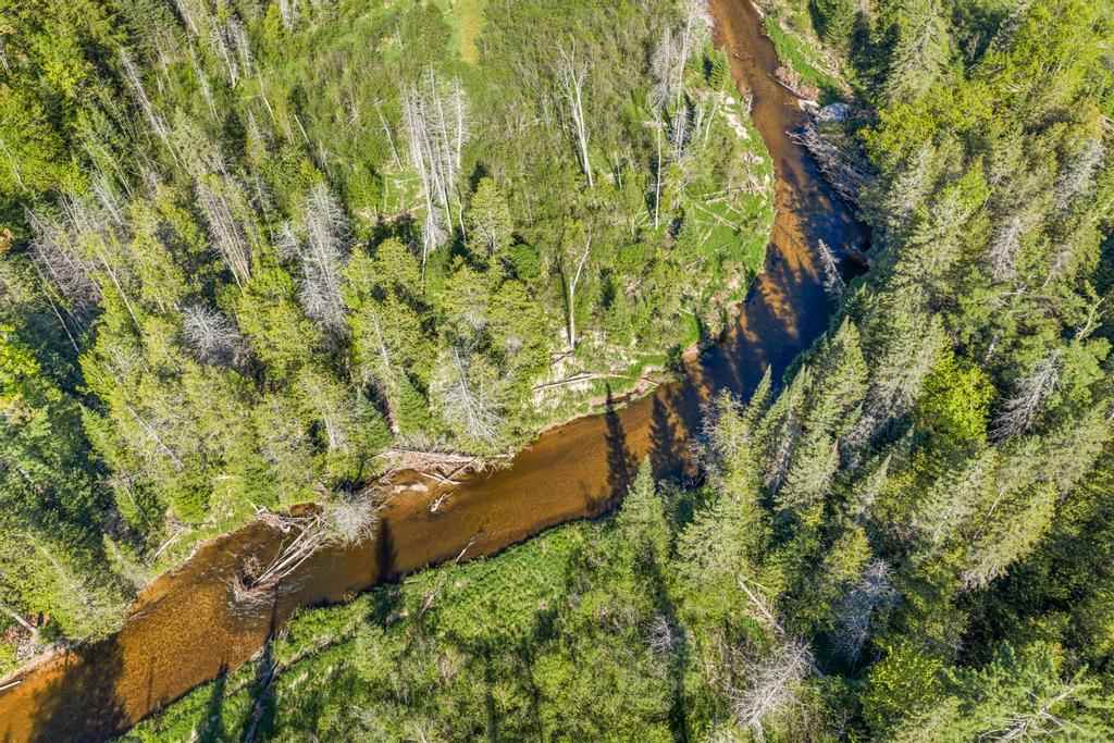 3655 Big Sky Trail Indian River MI 49749