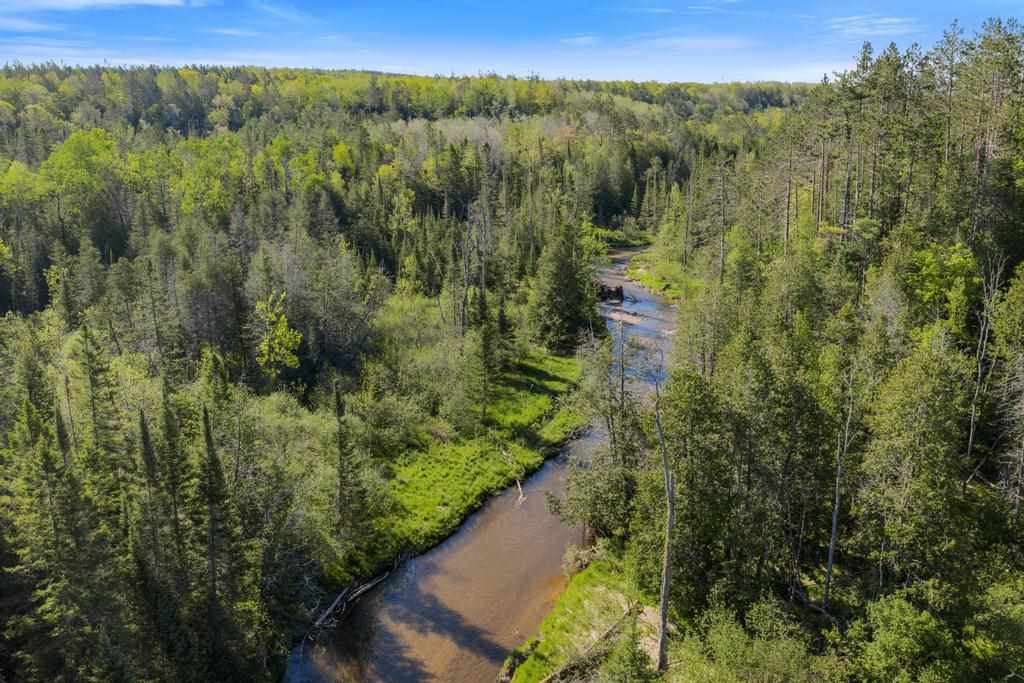 3655 Big Sky Trail Indian River MI 49749