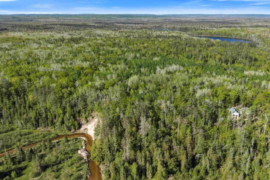 3655 Big Sky Trail Indian River MI 49749