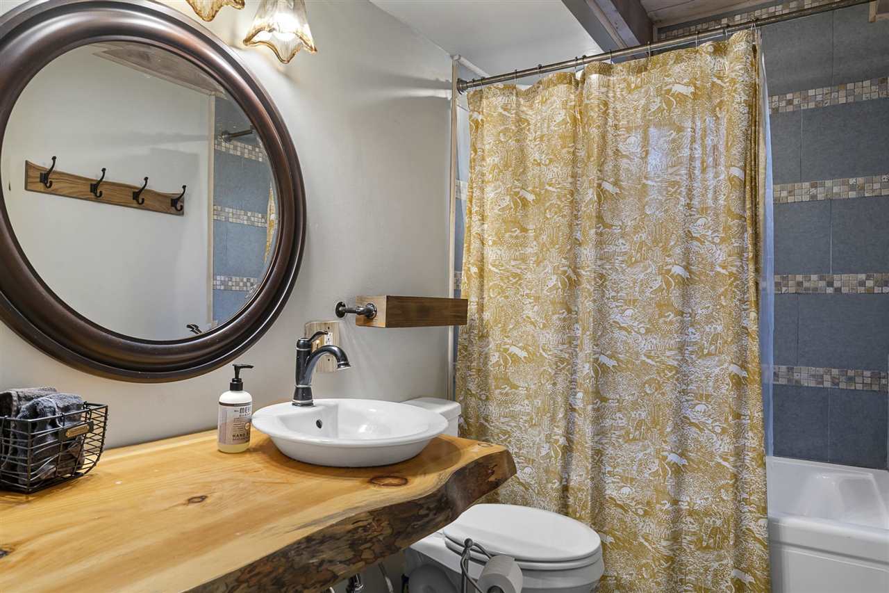 01006 S Slashing Road Boyne Falls MI 49713