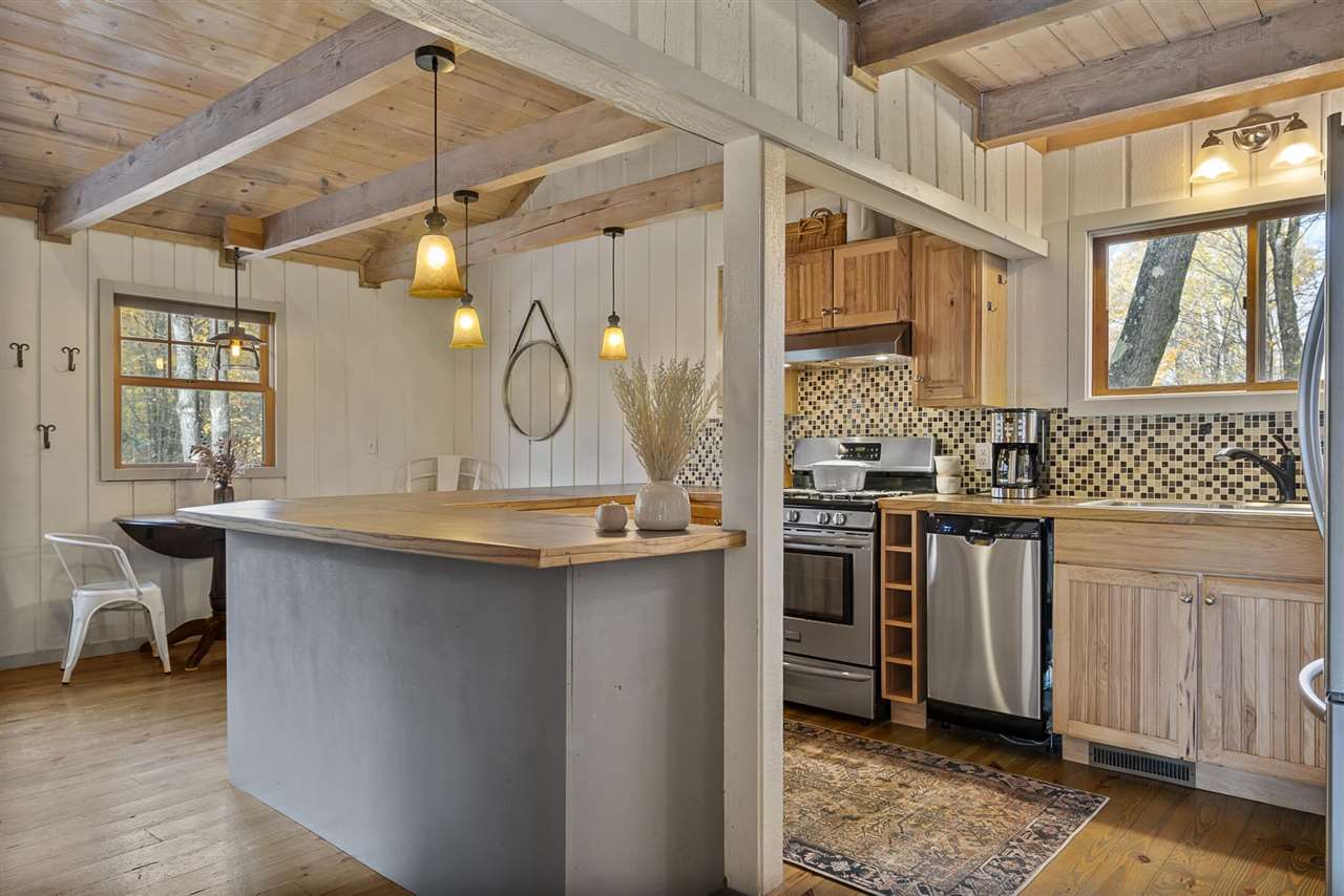 01006 S Slashing Road Boyne Falls MI 49713