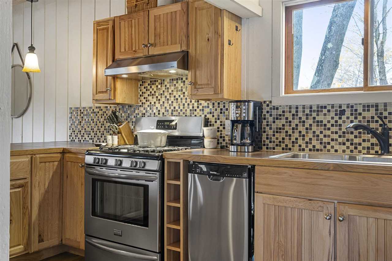 01006 S Slashing Road Boyne Falls MI 49713