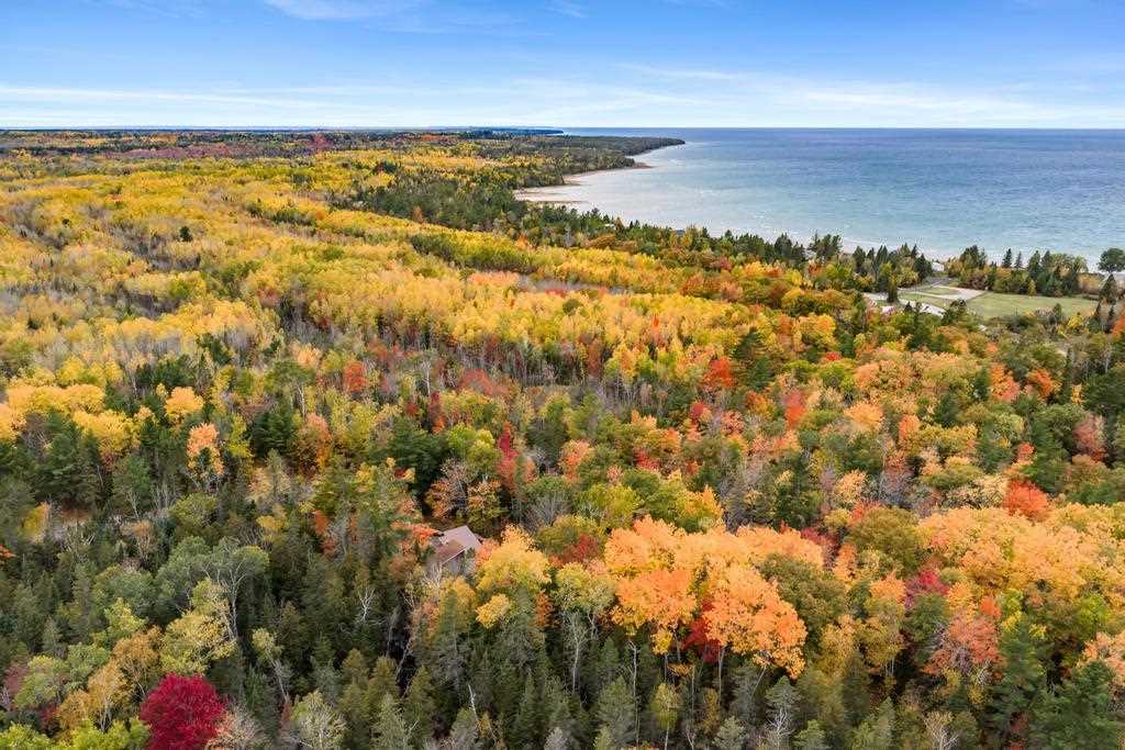 13340 Cecil Bay Road Carp Lake MI 49718