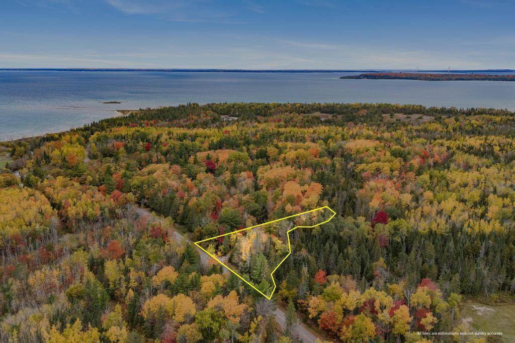 13340 Cecil Bay Road Carp Lake MI 49718