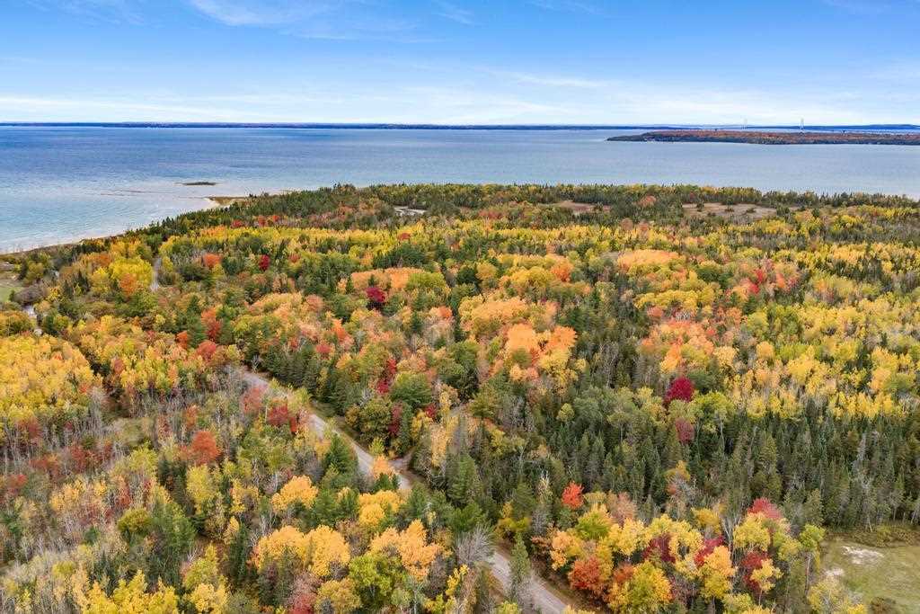 13340 Cecil Bay Road Carp Lake MI 49718