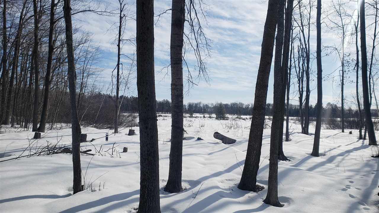 10850 Mackinaw Highway Carp Lake MI 49718