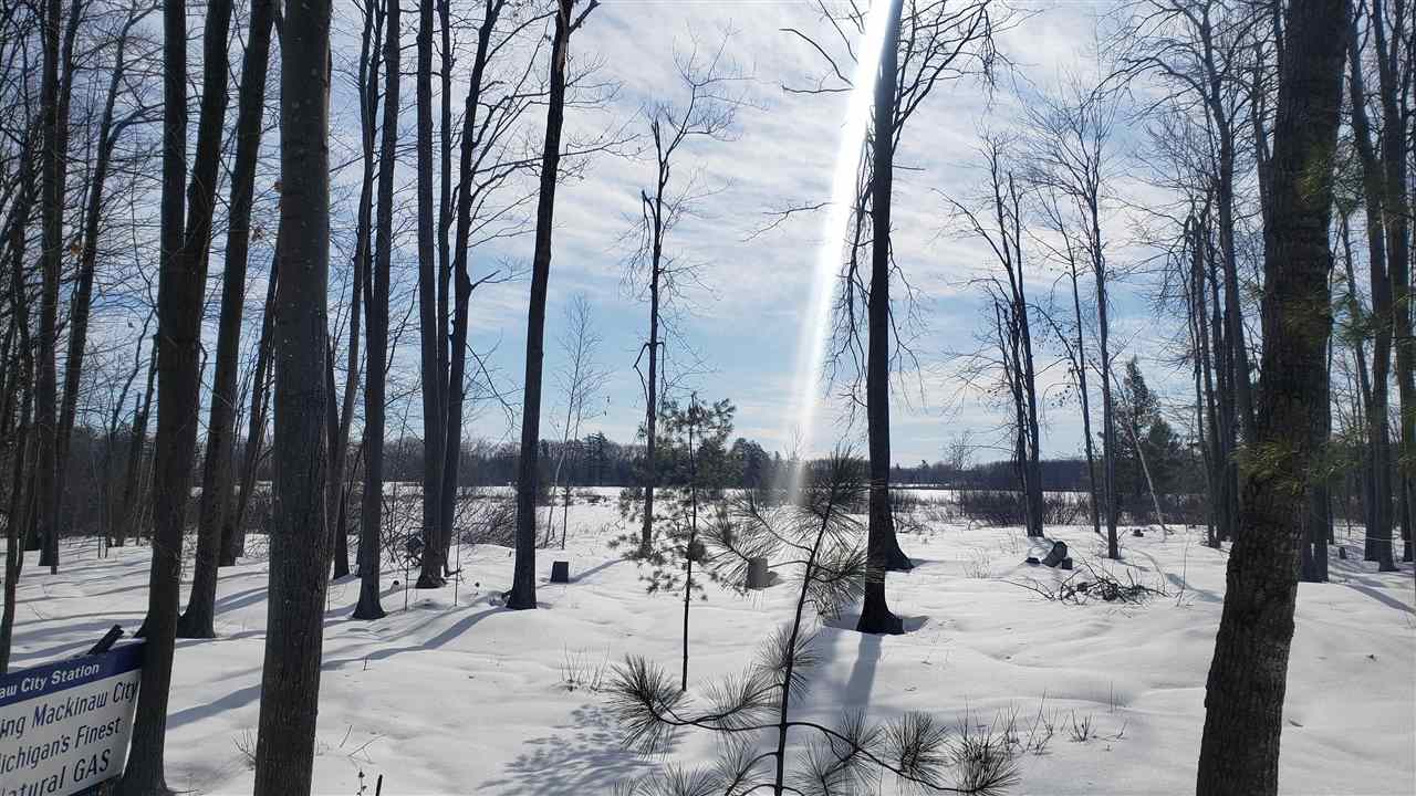 10850 Mackinaw Highway Carp Lake MI 49718