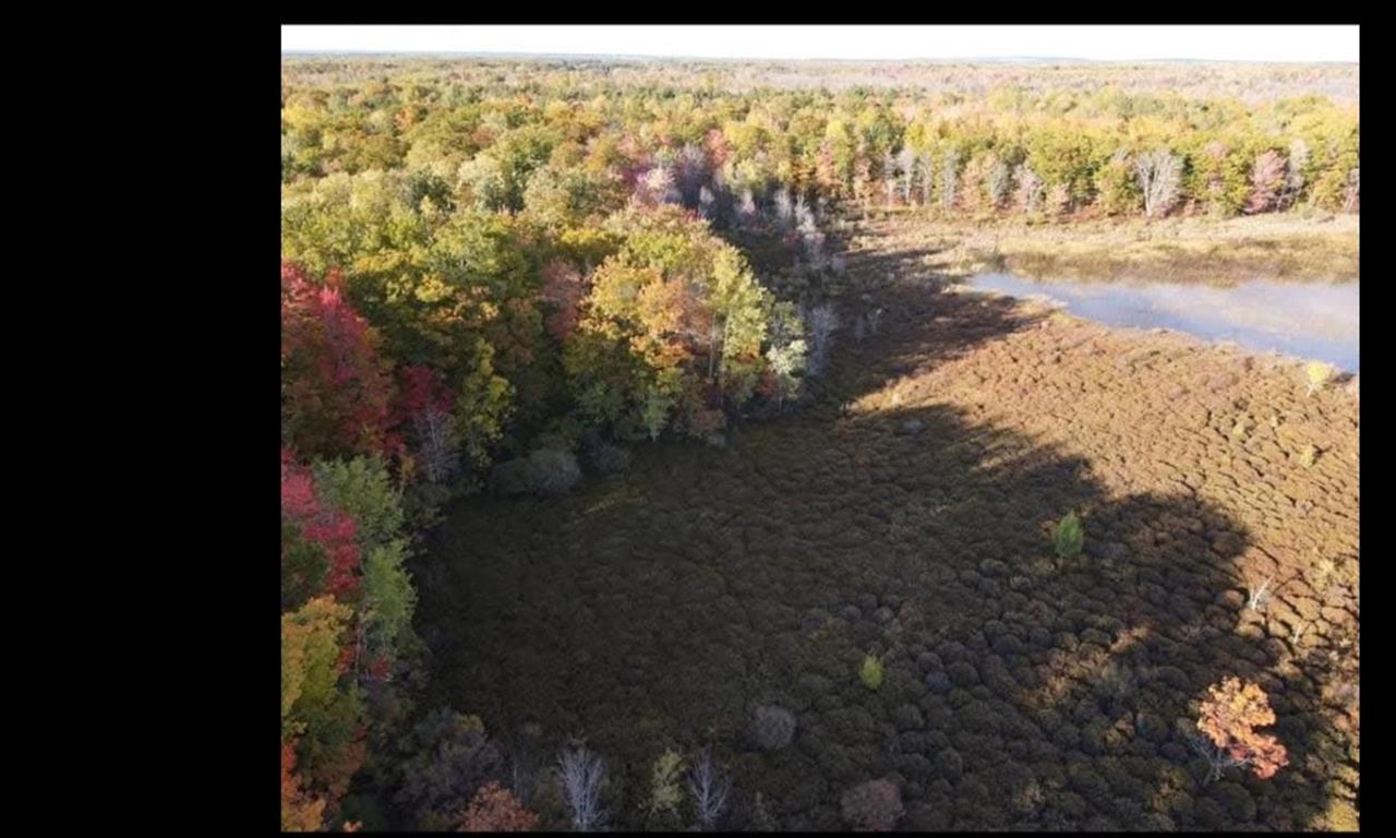 10850 Mackinaw Highway Carp Lake MI 49718