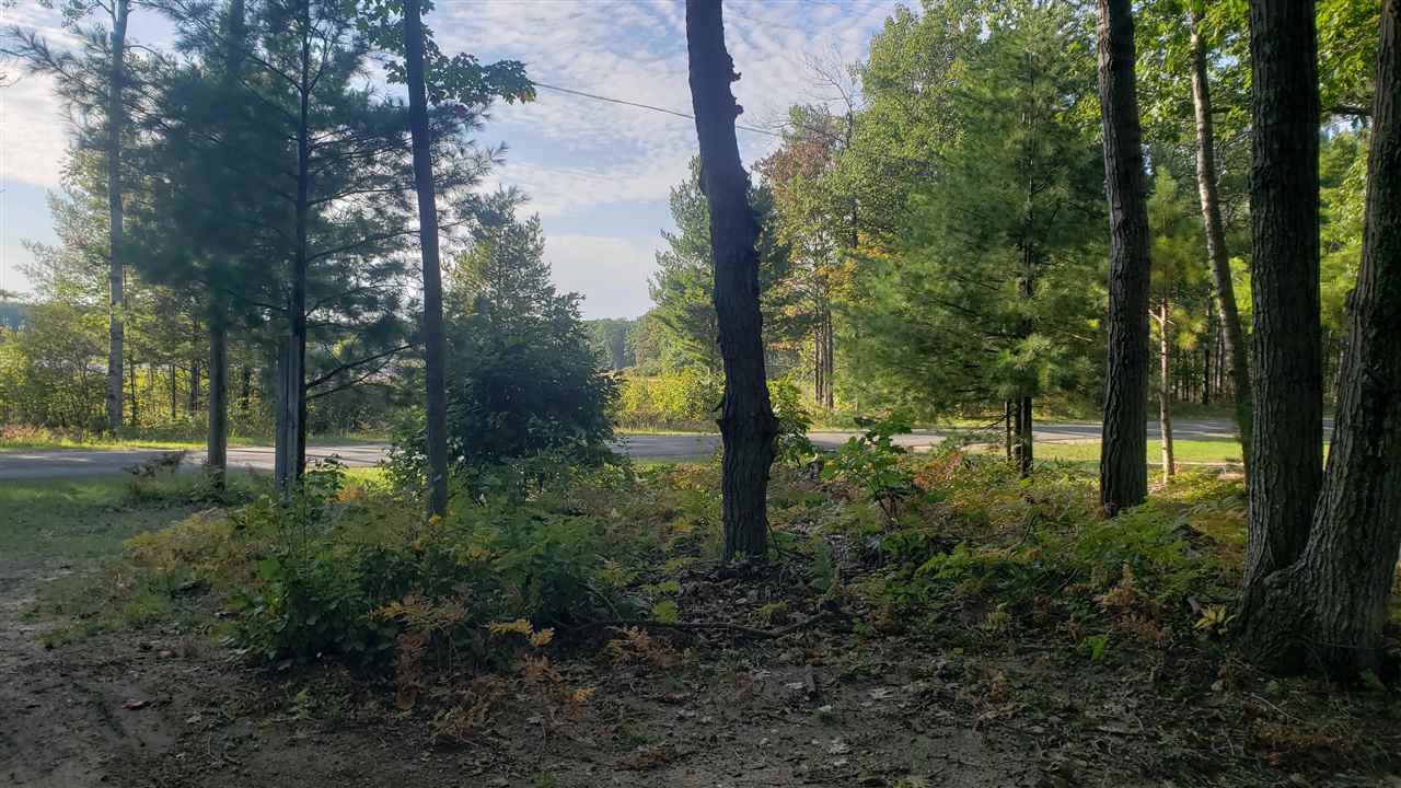 10850 Mackinaw Highway Carp Lake MI 49718