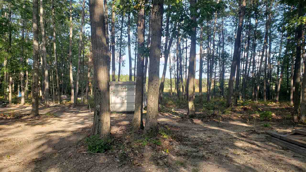 10850 Mackinaw Highway Carp Lake MI 49718