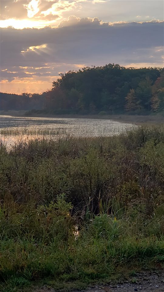 10850 Mackinaw Highway Carp Lake MI 49718