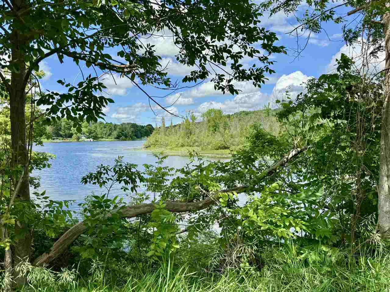 2602 Elm Central Lake MI 49622