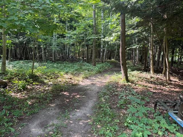 8609 Boynton Road Harbor Springs MI 49740