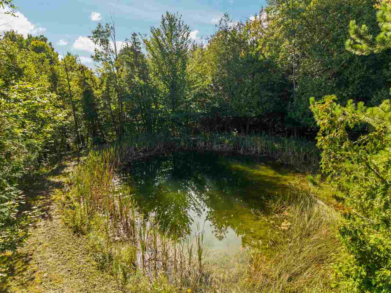 4682 Valley Road Bellaire MI 49615