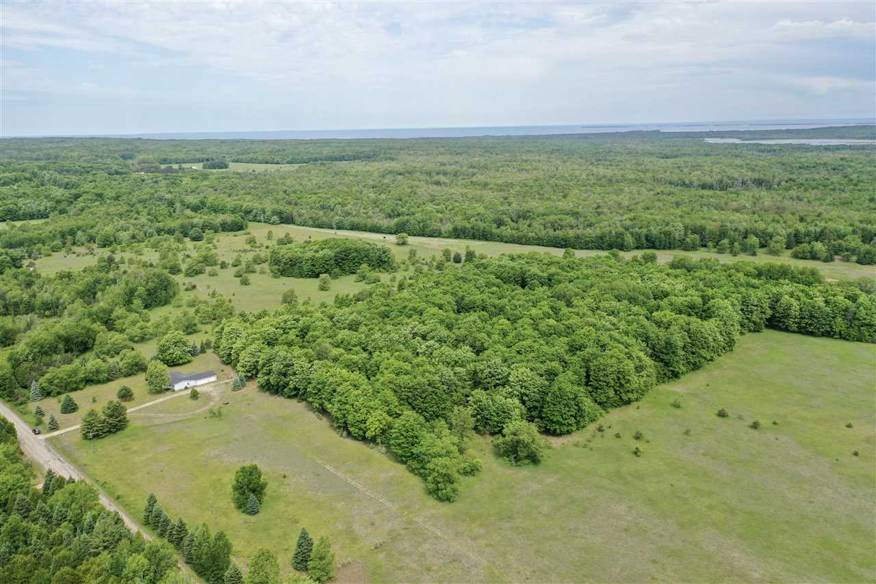 1228 Beckon Road Pellston MI 49769