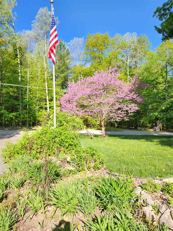 1252 Lalonde Road East Jordan MI 49727