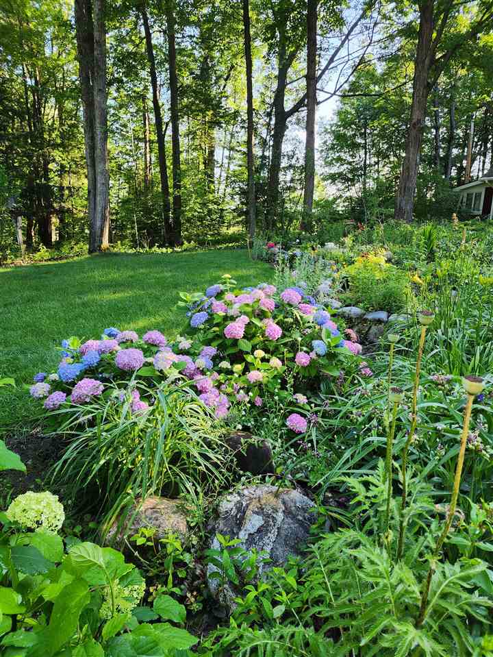 1252 Lalonde Road East Jordan MI 49727