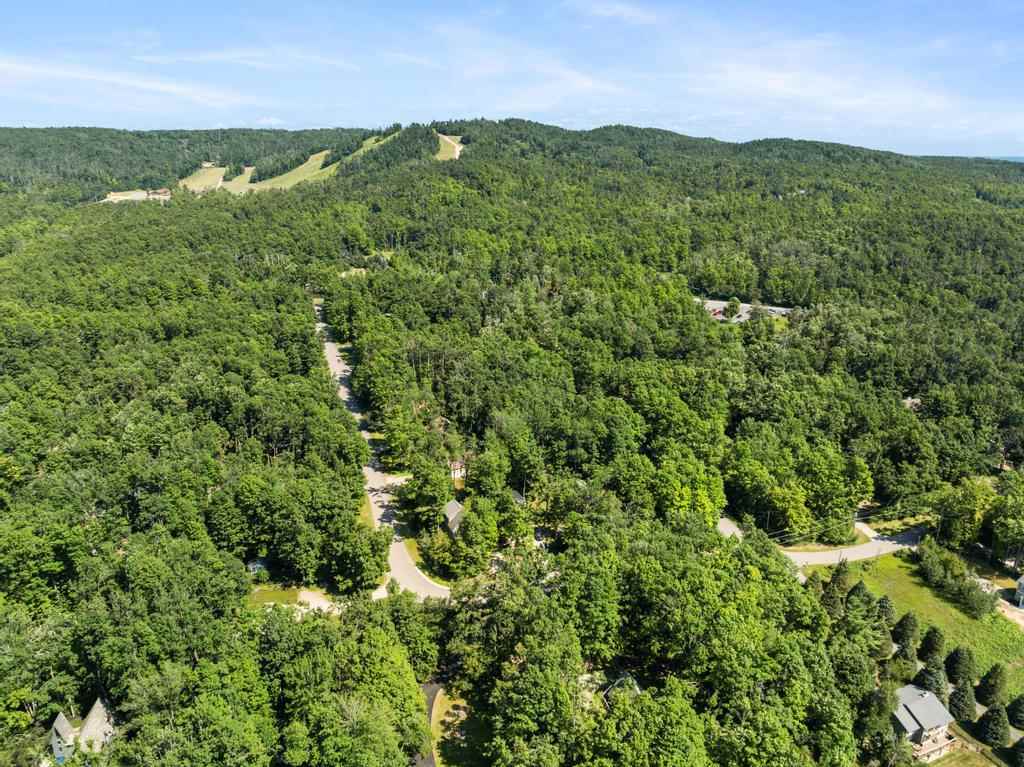 5630 Elm Lane Harbor Springs MI 49740