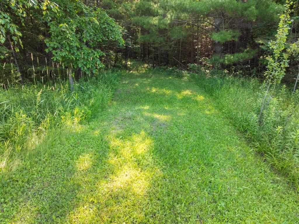 11260 Mccleary Carp Lake MI 49718